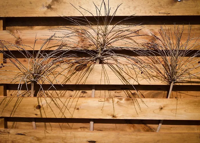 Mini Loft Tesa Lägenhet